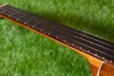 aNueNue AAA3 Tenor_7