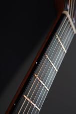 Echizen Guitars Jazz Nylon _7