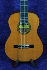 ＰＥＰＥ　ＧＵＩＴＡＲ PS-48/480mm　杉/サペリ 特価_2