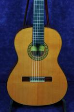 ＰＥＰＥ　ＧＵＩＴＡＲ PS-53/530mm　杉/サペリ　特価_2