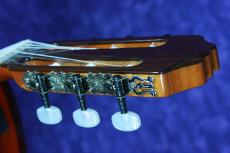 ＰＥＰＥ　ＧＵＩＴＡＲ PS-53/530mm　杉/サペリ　特価_5