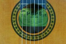ＰＥＰＥ　ＧＵＩＴＡＲ PS-58/580mm　杉/サペリ　特価