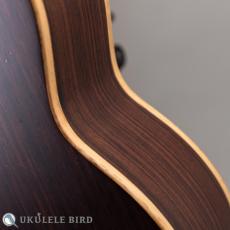 Arimitsu Guitar Craft  Concert Halcyon UB5_11