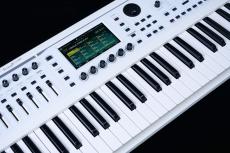 Roland FANTOM-06-SC シンセサイザー(限定ホワイト)61鍵盤 島村楽器限定【背負えるケース・追加音源付属】_6