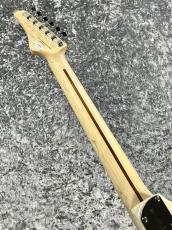 FUJIGEN 【決算セール】セール】Expert ODYSSEY EOS-ASH-M/WBU/06 ～WhiteBlond～【2022'USED】_6