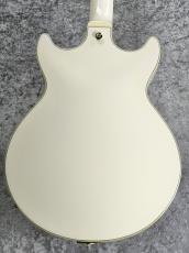 Ibanez AMH-90 -Ivory-【2023年製USED】【フルアコ】【約2.70kg】_5