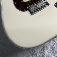 FUJIGEN 【決算セール】【美品中古】 NST100RAL-VWH~Vintage White~ 2024年製  [3.51kg]_6