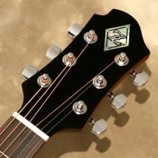 ZEMAITIS CAG-100HS-E, Forest Green_4