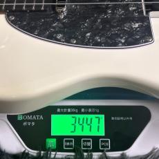Bacchus BTE-1DX RSM/P PWH-MH -Universe Series- 【特価】【SPOTモデル】【ステンレスフレット】_11