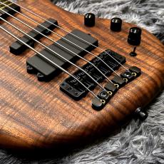 Warwick Pro Series Teambuilt Thumb BO Limited Edition 2024 5-String Natural Oil Finish【限定モデル】_3