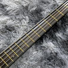 Warwick Pro Series Teambuilt Thumb BO Limited Edition 2024 5-String Natural Oil Finish【限定モデル】_5
