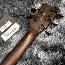 Warwick Pro Series Teambuilt Thumb BO Limited Edition 2024 5-String Natural Oil Finish【限定モデル】_7