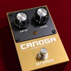 strymon Canoga_4