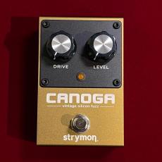 strymon Canoga_7