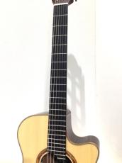 YAMAHA NTX5_4