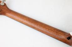Taylor 514ce Next Generation_7