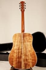 Gibson Hummingbird Koa Carpathian Spruce Honeyburst 【Greatest Hits Limited】【65本限定!】_4
