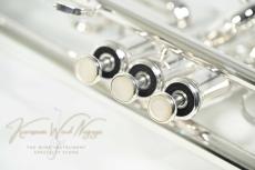 YAMAHA YTR-8335RGS #460***_3
