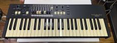 Hammond M-solo BLK【中古】【ハモンド】