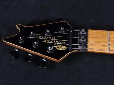 EVH Wolfgang WG Standard Silver Sparkle ☀️夏の売りつくしセール☀️_5