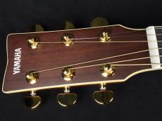 YAMAHA LL16 ARE Natural_5