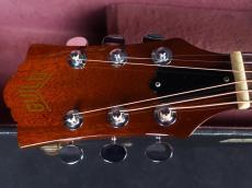 Guild 1975 D-25M_5