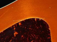 Guild 1975 D-25M_10