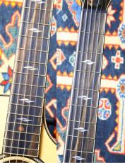Taylor 【美品USED・美しい響き】812ce 2024年製【無金利キャンペーン】_7