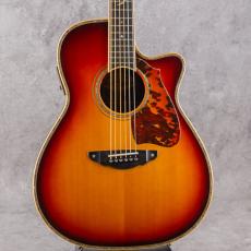 Terry's Terry TM Cutaway Custom Honduras Rosewood w/T'sT P.U 2003