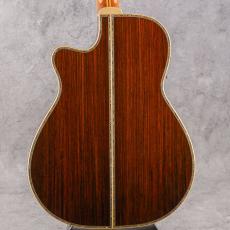 Terry's Terry TM Cutaway Custom Honduras Rosewood w/T'sT P.U 2003_2