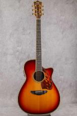 Terry's Terry TM Cutaway Custom Honduras Rosewood w/T'sT P.U 2003_3