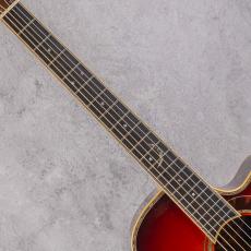Terry's Terry TM Cutaway Custom Honduras Rosewood w/T'sT P.U 2003_6