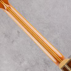 Terry's Terry TM Cutaway Custom Honduras Rosewood w/T'sT P.U 2003_7