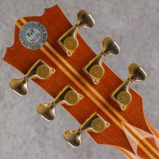 Terry's Terry TM Cutaway Custom Honduras Rosewood w/T'sT P.U 2003_9
