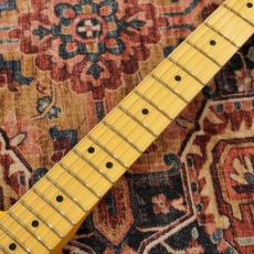 Fender Standard Telecaster Butterscotch Blonde / Maple【特価】 【フェンダーのエントリーモデル】_5
