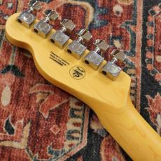 Fender Standard Telecaster Butterscotch Blonde / Maple【特価】 【フェンダーのエントリーモデル】_7