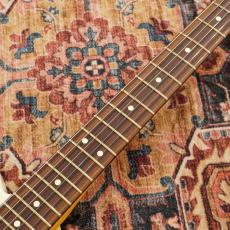 Fender Player II Telecaster, Rosewood Fingerboard / White Blonde 【特価】_5