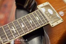 Paul Reed Smith [PRS] 2020 S2 McCarty 594 Thinline (Tobacco Burst)_5