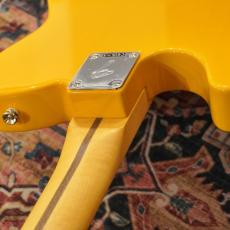 Fender Player II Telecaster, Maple Fingerboard / Butterscotch Blonde 【特価】_9