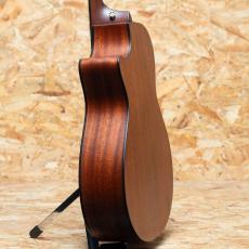Taylor 322ce 12-Fret_5