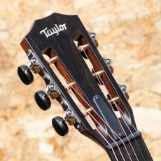 Taylor 322ce 12-Fret_8