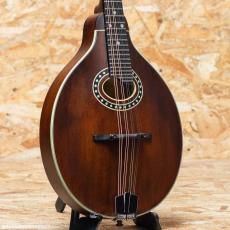 Eastman MD-304