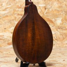 Eastman MD-304_2