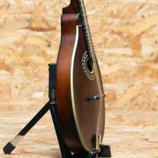 Eastman MD-304_4