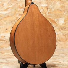 Eastman PCH-M104 Natural_2