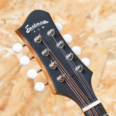 Eastman PCH-M104 Natural_4