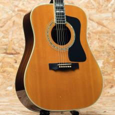 Guild D-55 2001