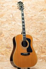 Guild D-55 2001_3