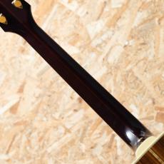 Guild D-55 2001_7
