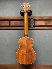 Seilen 【店頭限定】SLMT-3720 Mini Tenor 2024年製　Sinker Cedar × Pernambuco_2
